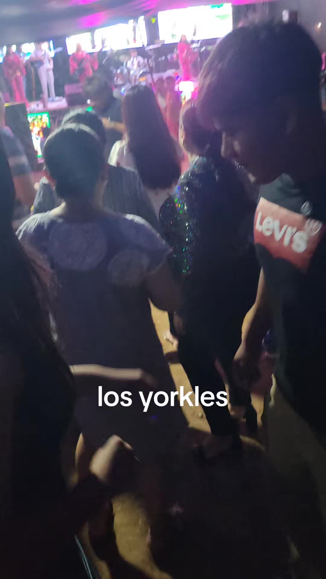 @lucymanzano