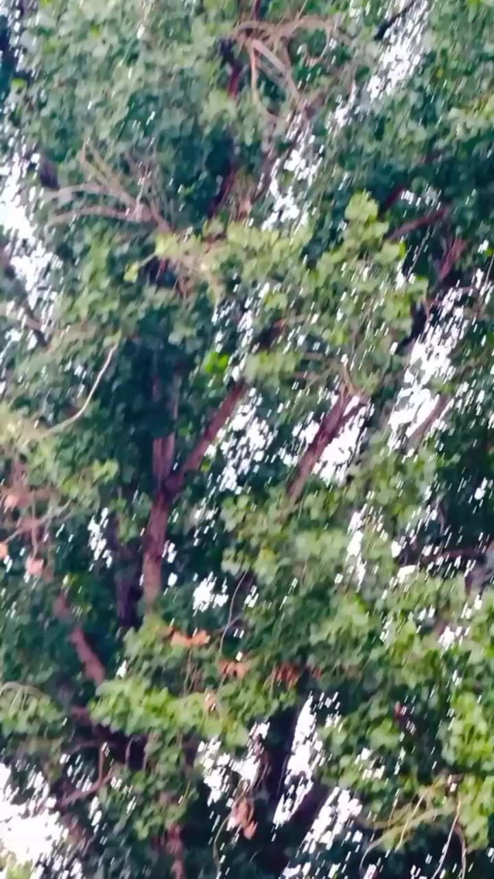 @Muqarab Khan Alam