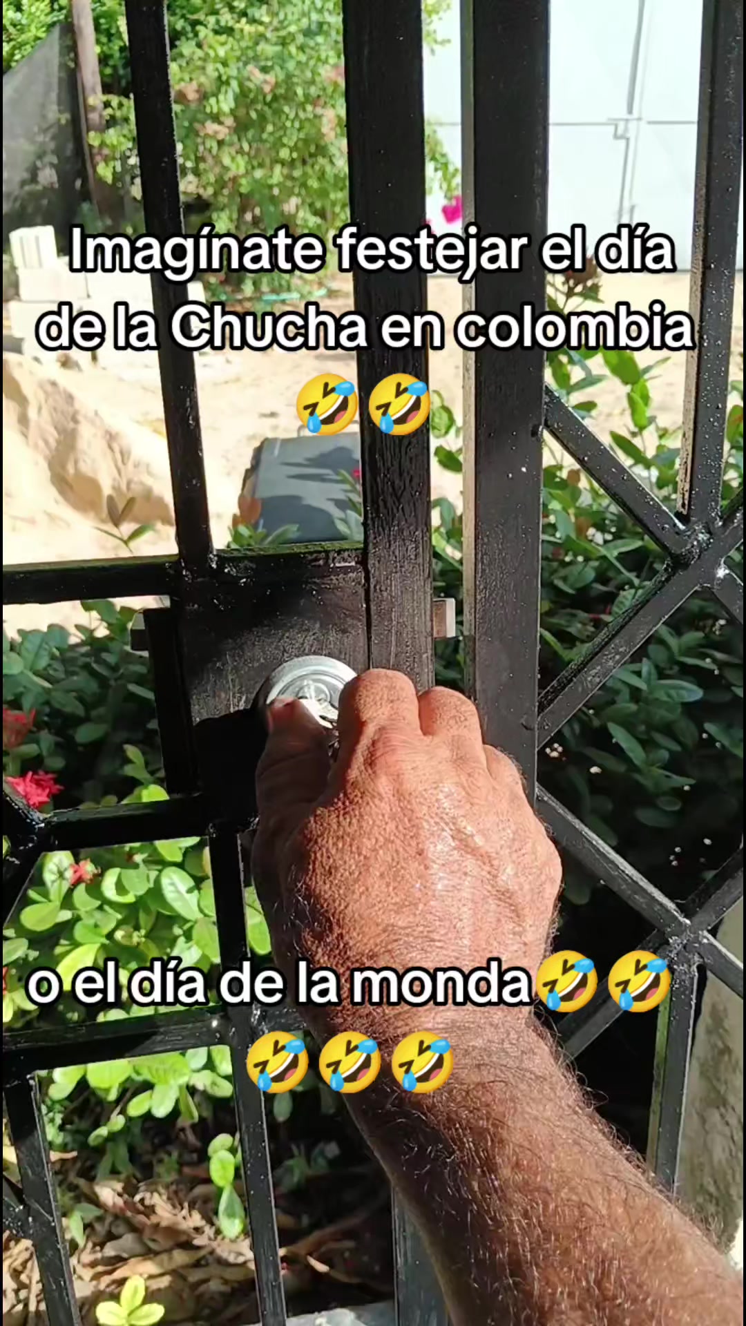 @Rosemberg Díaz.