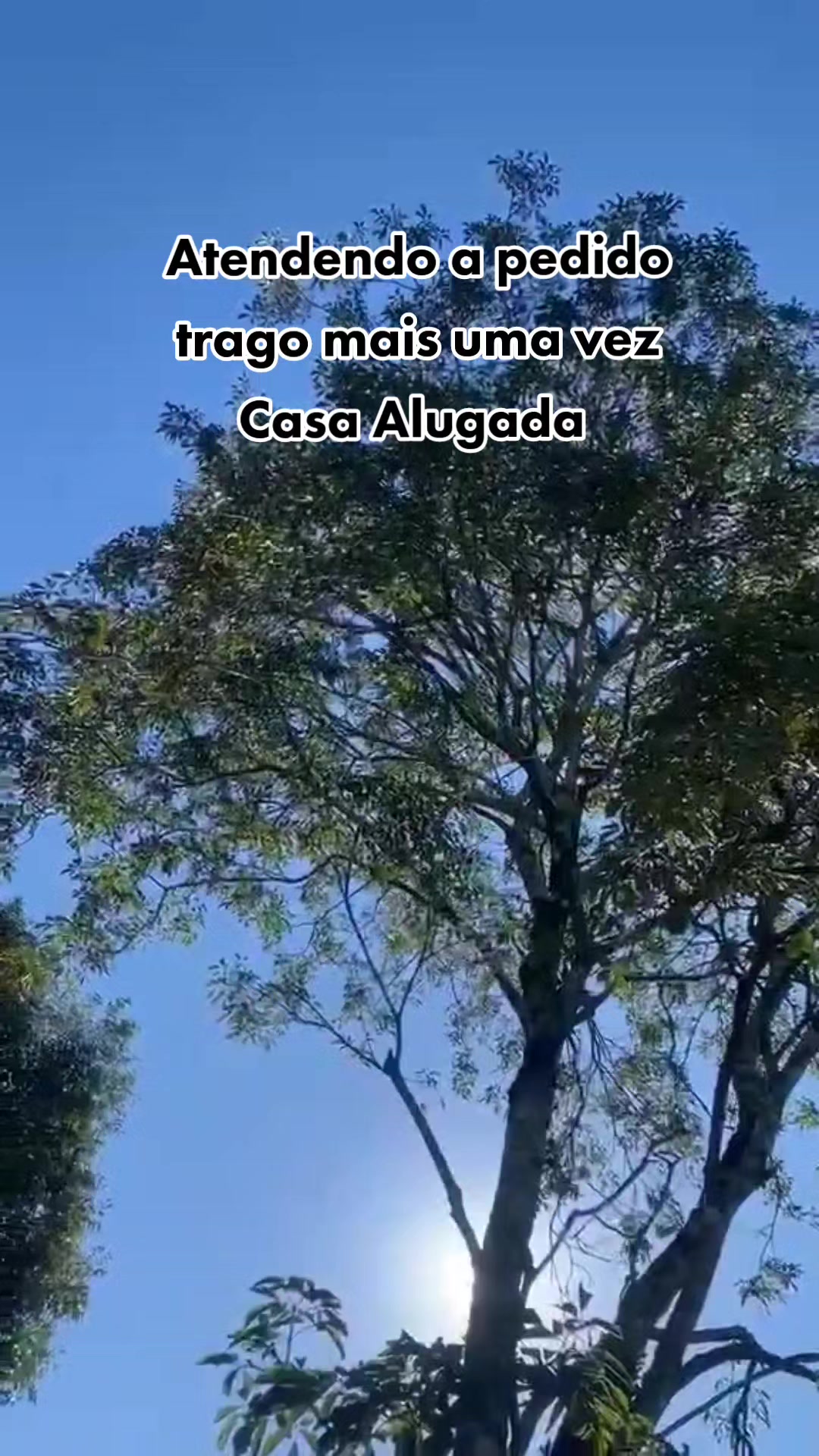 @LobaNegra✔️