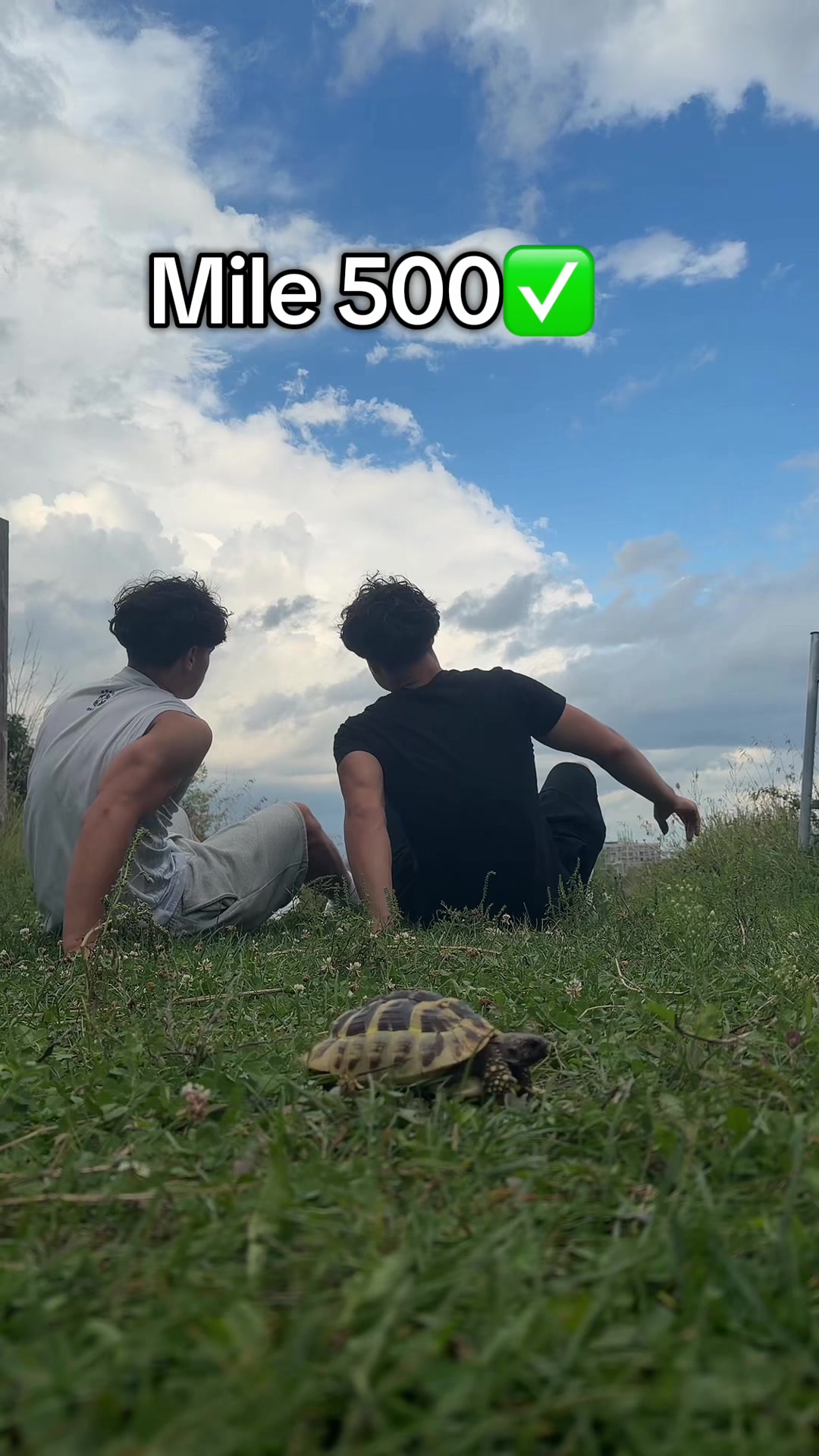 @Rise Twins