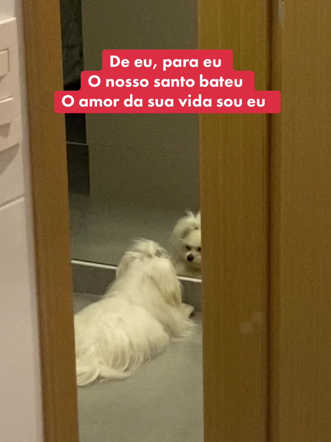 @PAULA PIRES