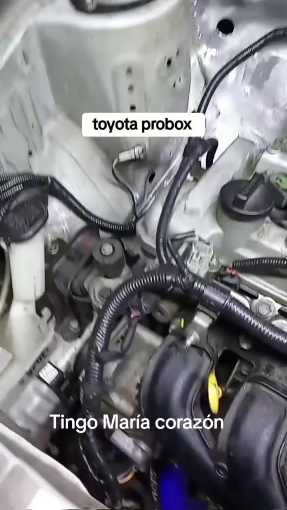 @J.C electricista automotriz