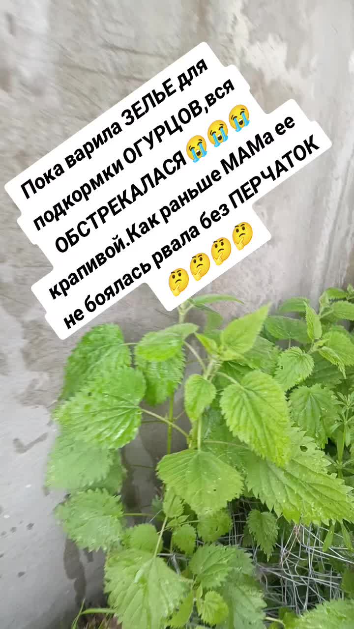 @Оленька