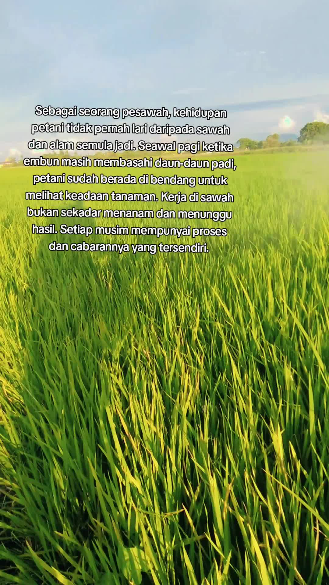 @FARISPAUPANAS