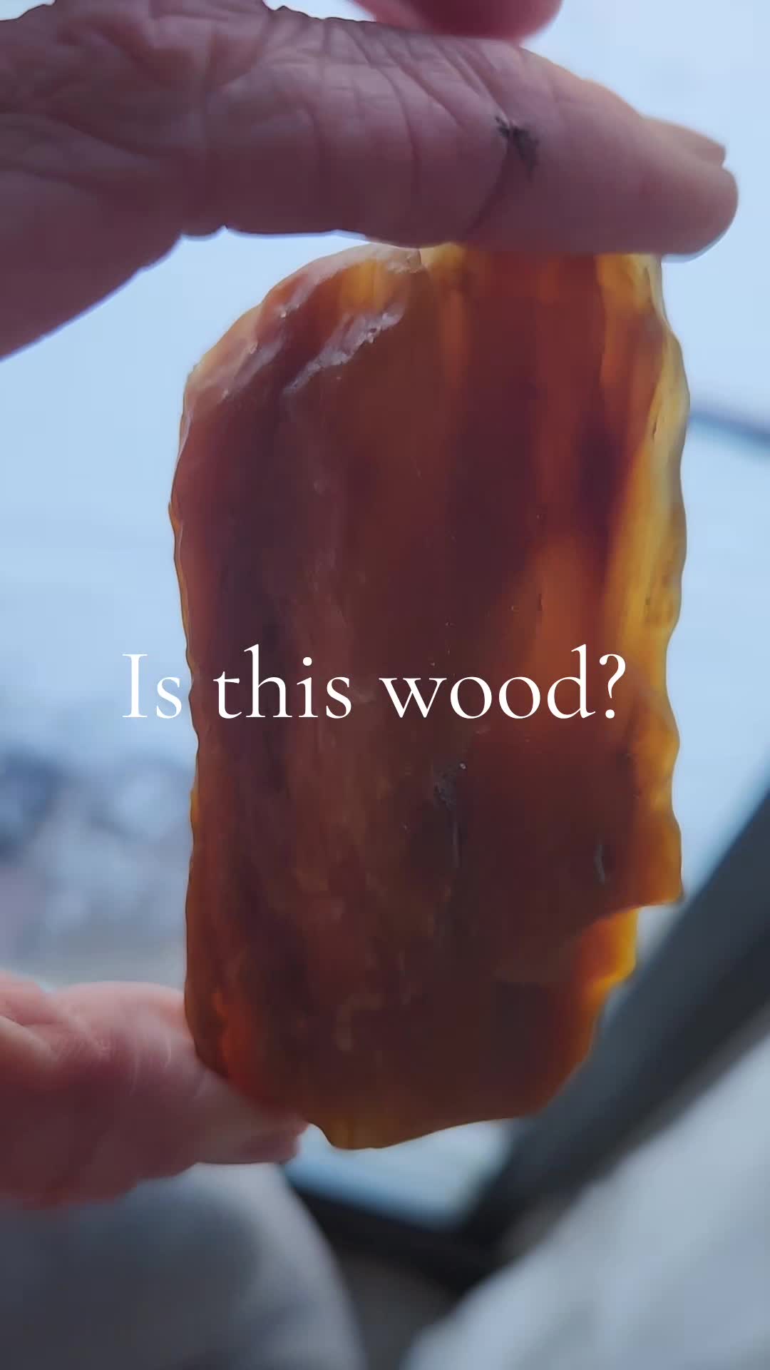 @EarthyFinds