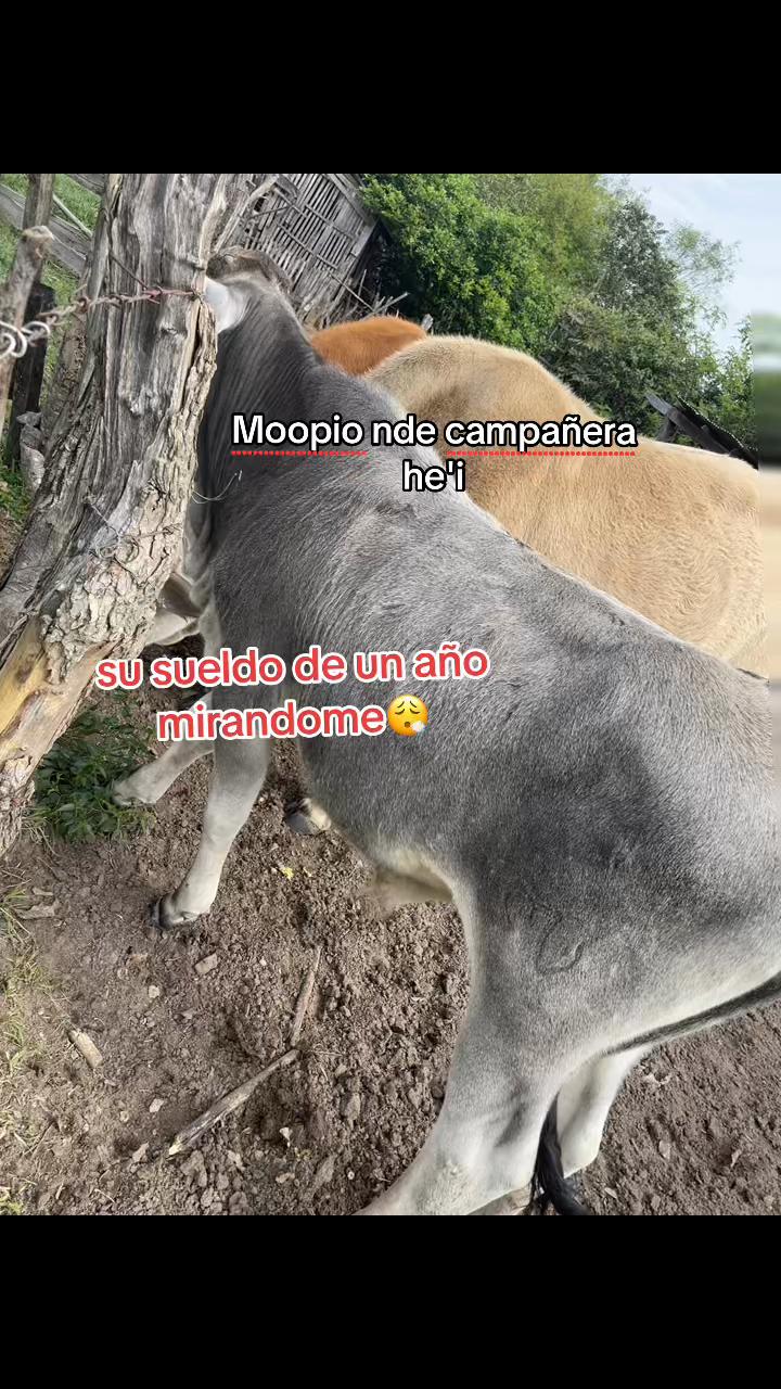 @Adri ๐ค