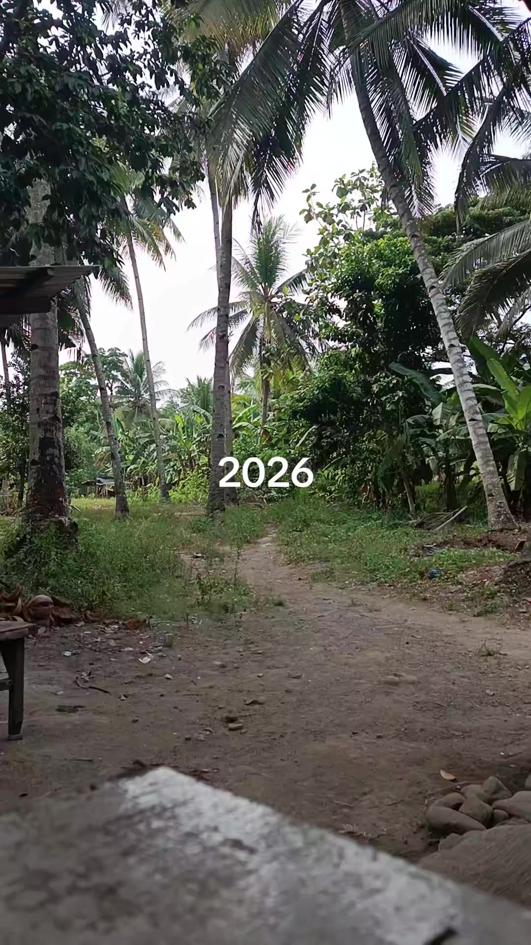 @KURIKONG VLOGS