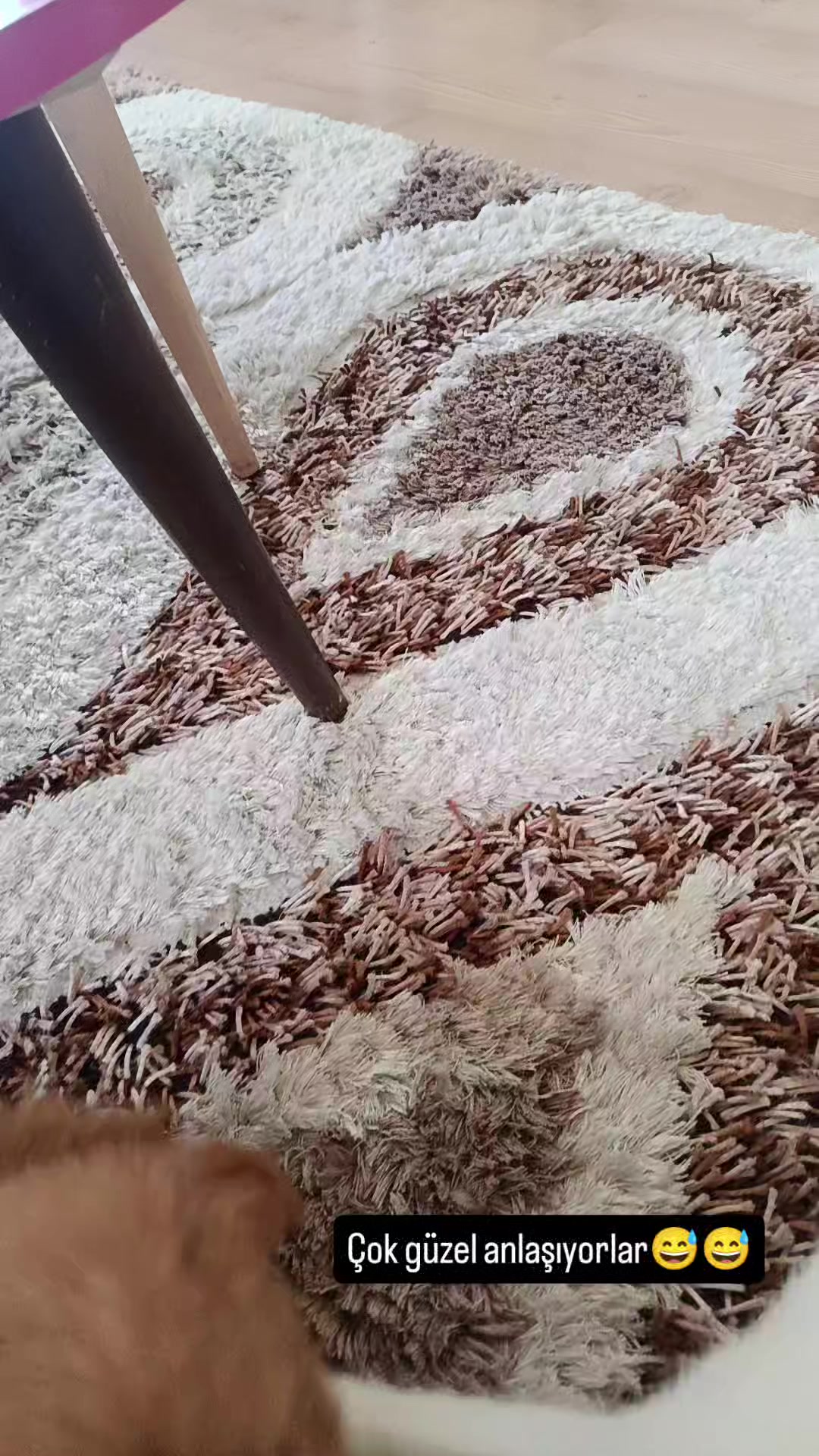 @Peri