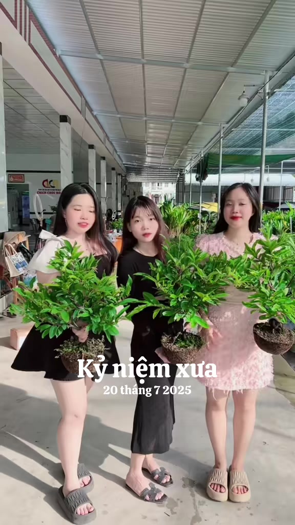@Chichchoebong79