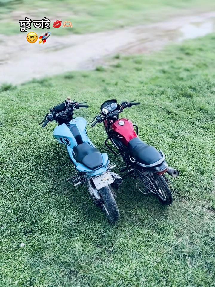 @meheraj 66 x