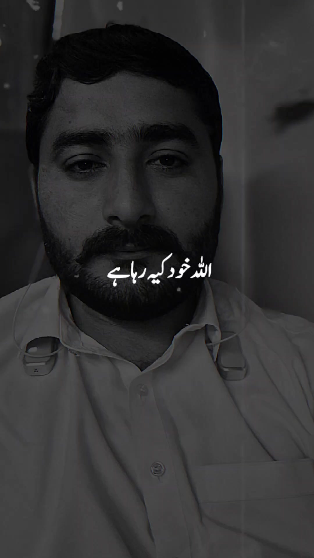 @پردیسی