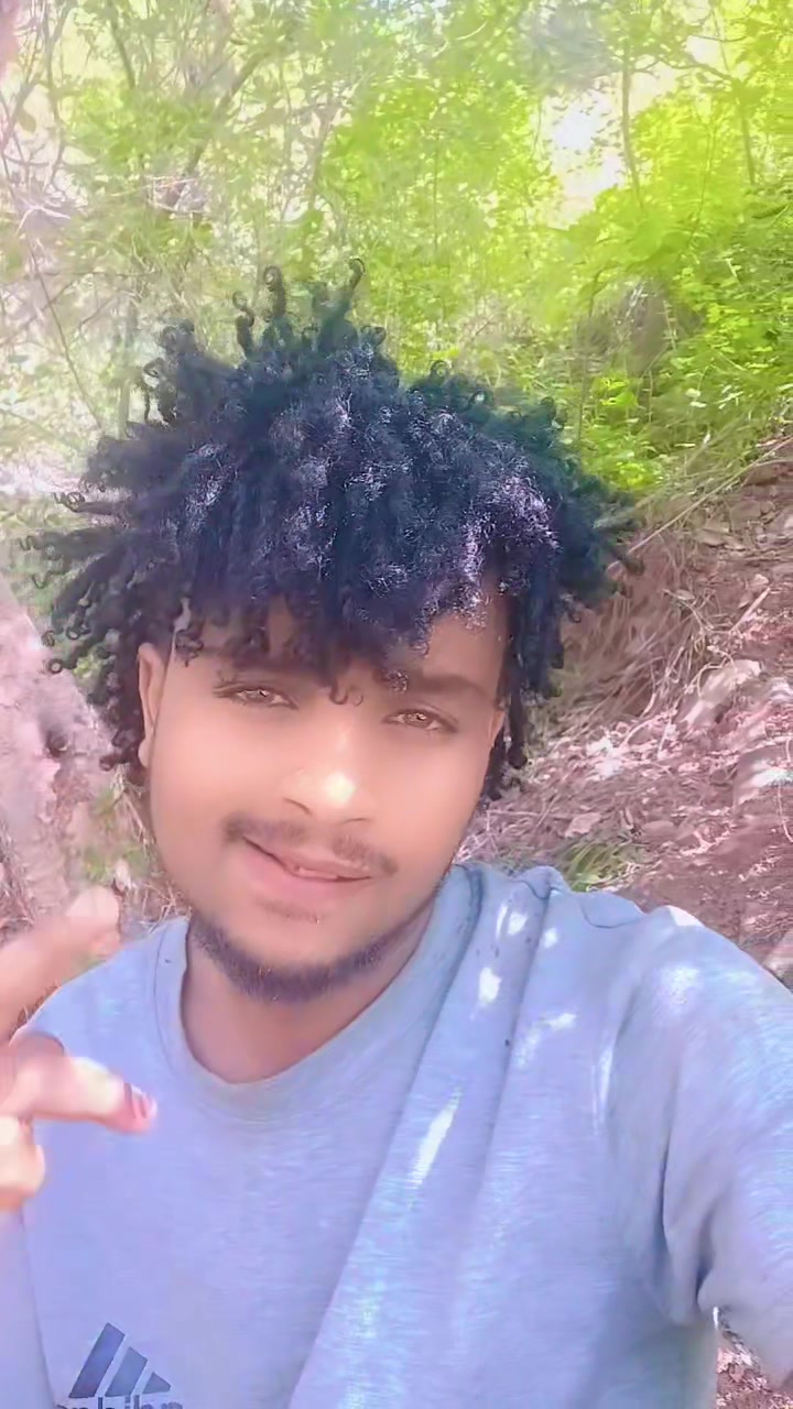 @shuguxii king