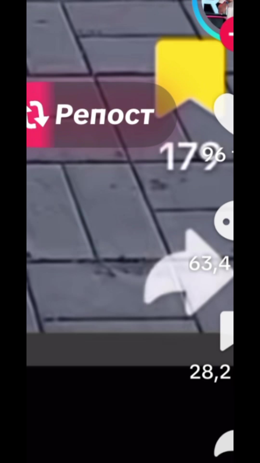 @raindowpfp