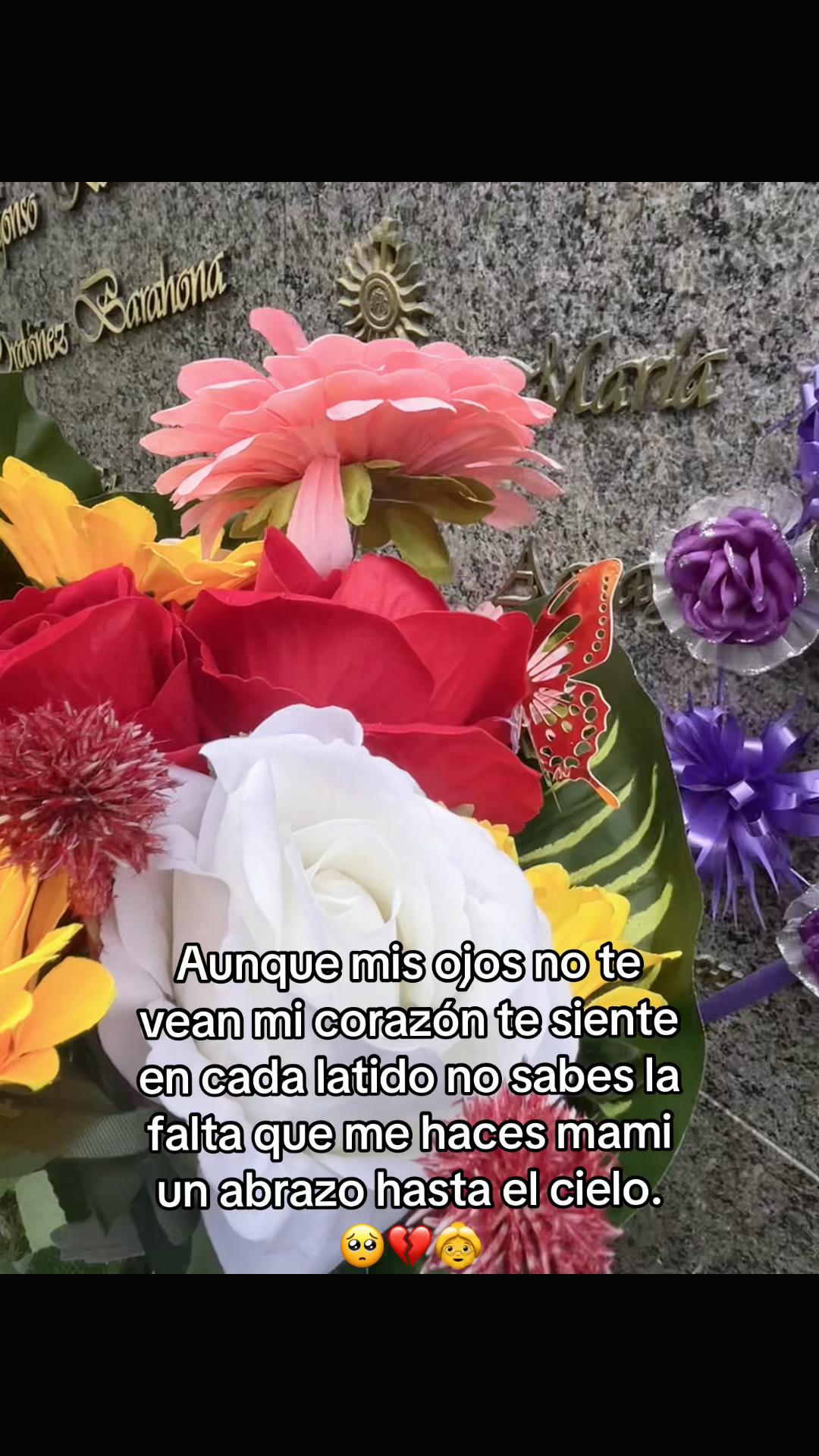 @Karol👸❤️🩹✨💋🌸