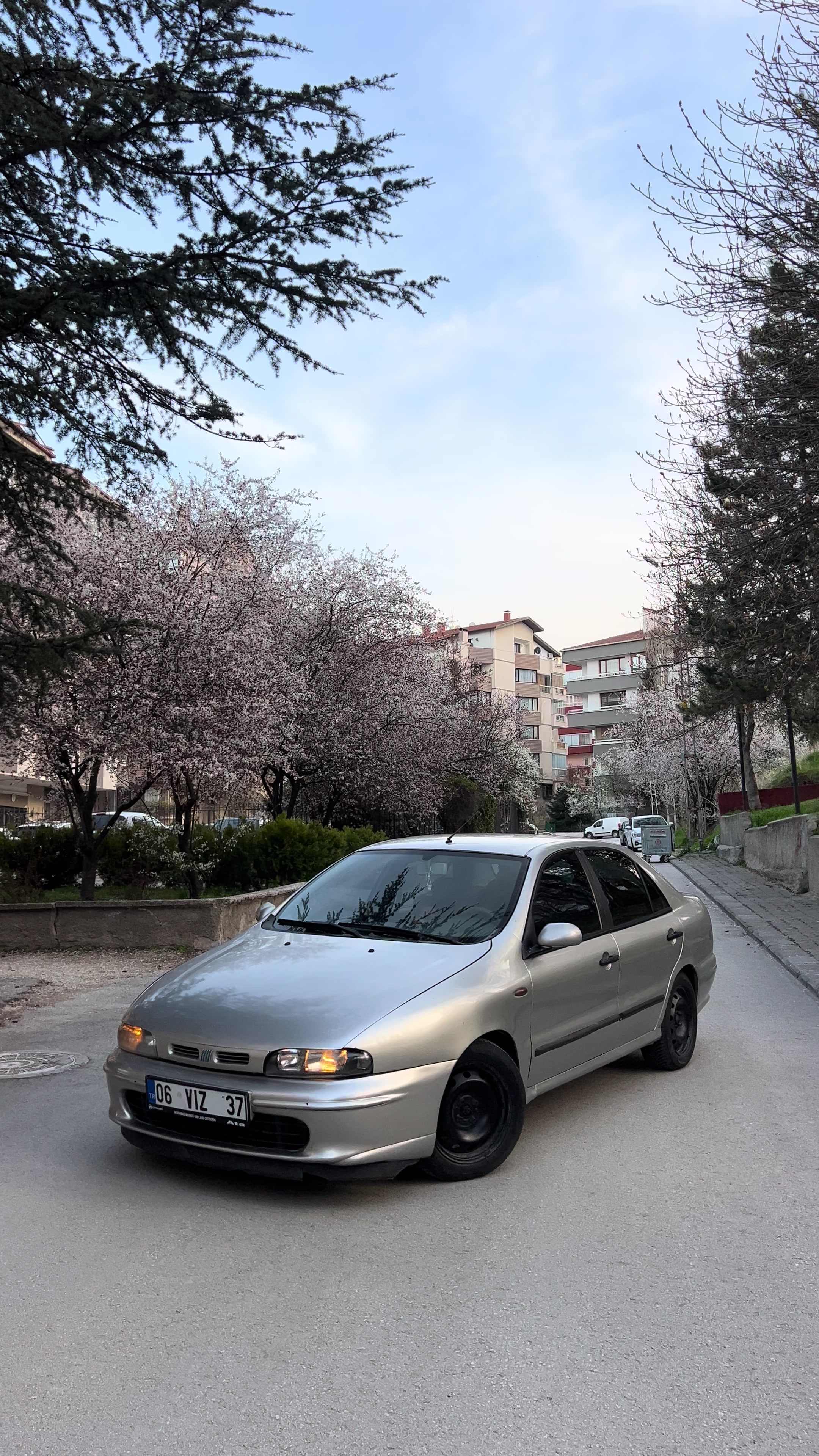 @Mert06