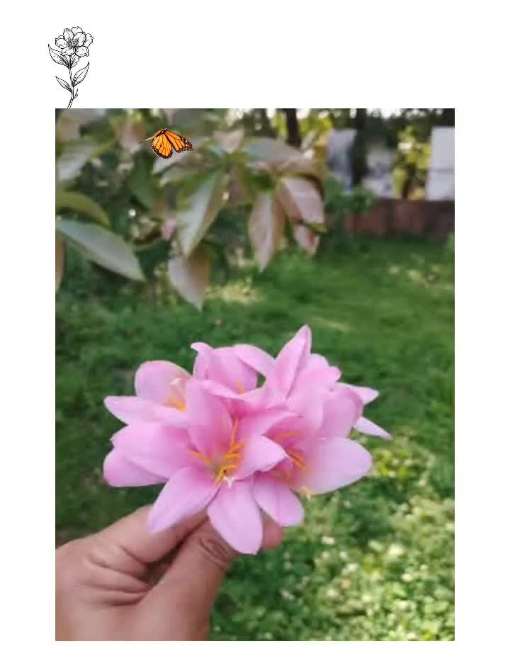 @kabitasubedi16