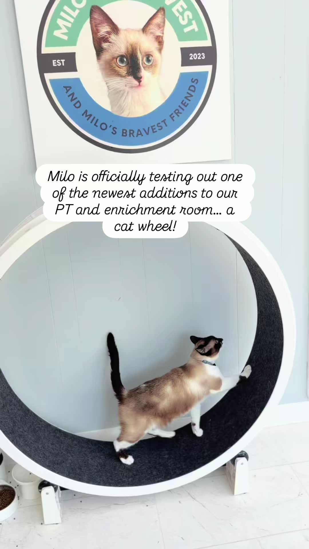 @Milo The Bravest