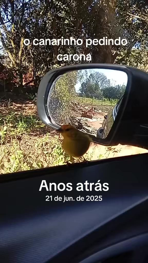 @Silvana Franco /vida na ro&ccedil;a