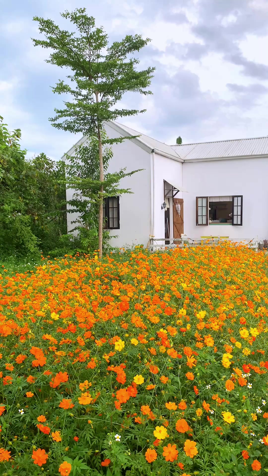 @Dream Farmhouse Mộc Châu