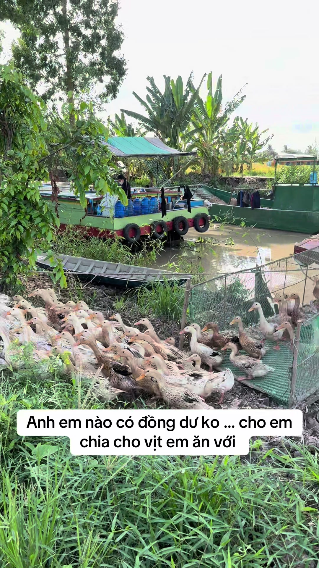 @Viễn nè Chứ ai📸🤗