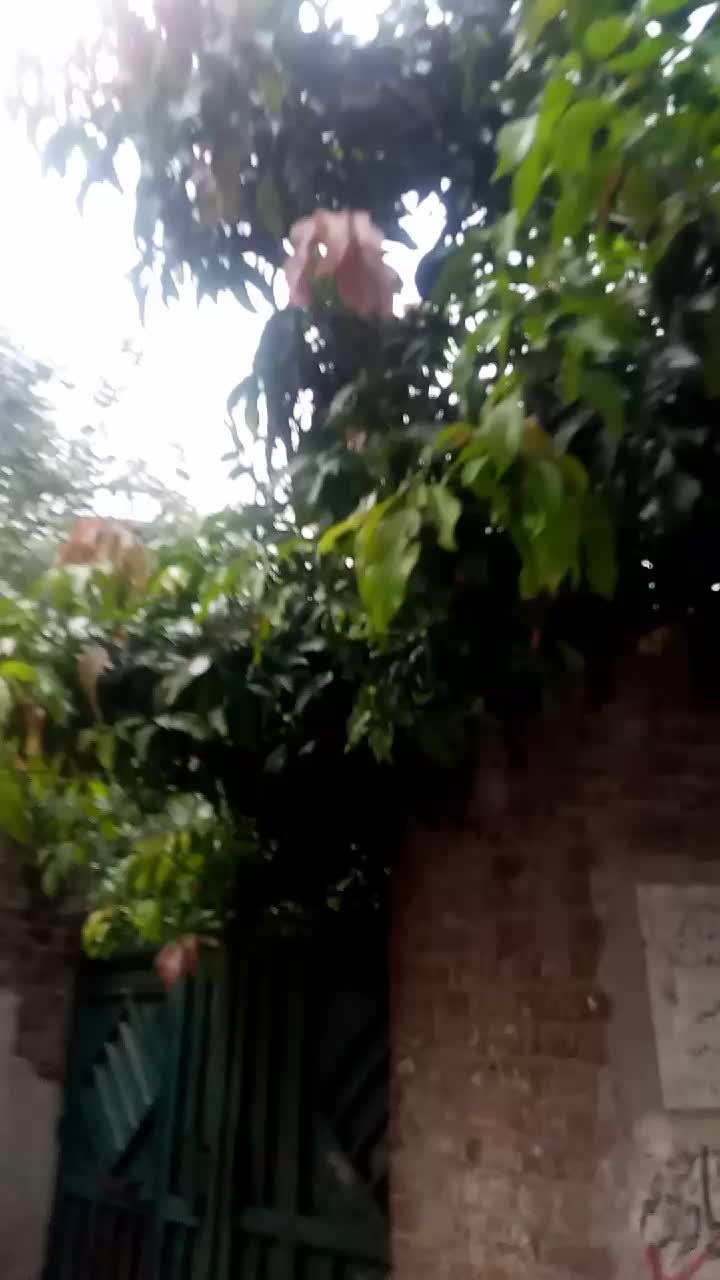 @Butt G
