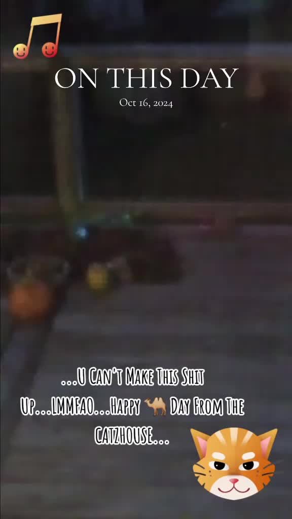 @Booh Hovey crazycatlady3