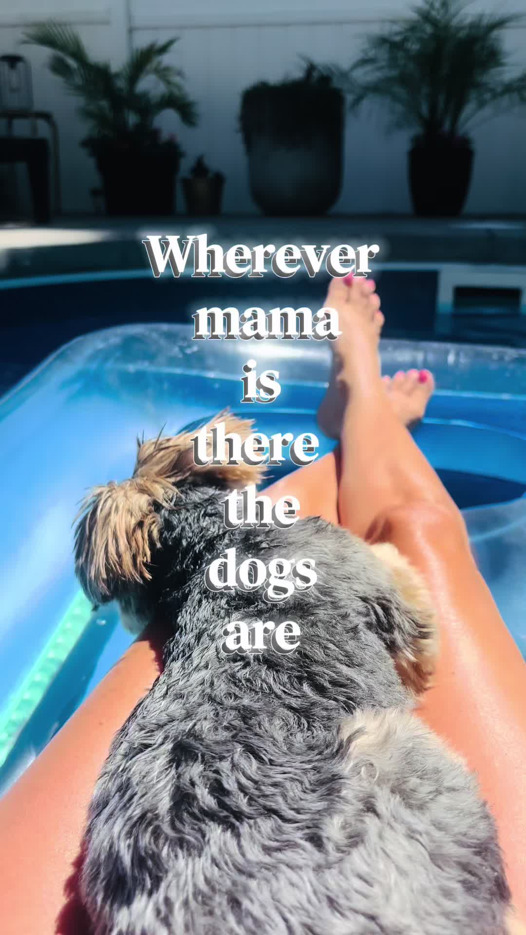 @Tina