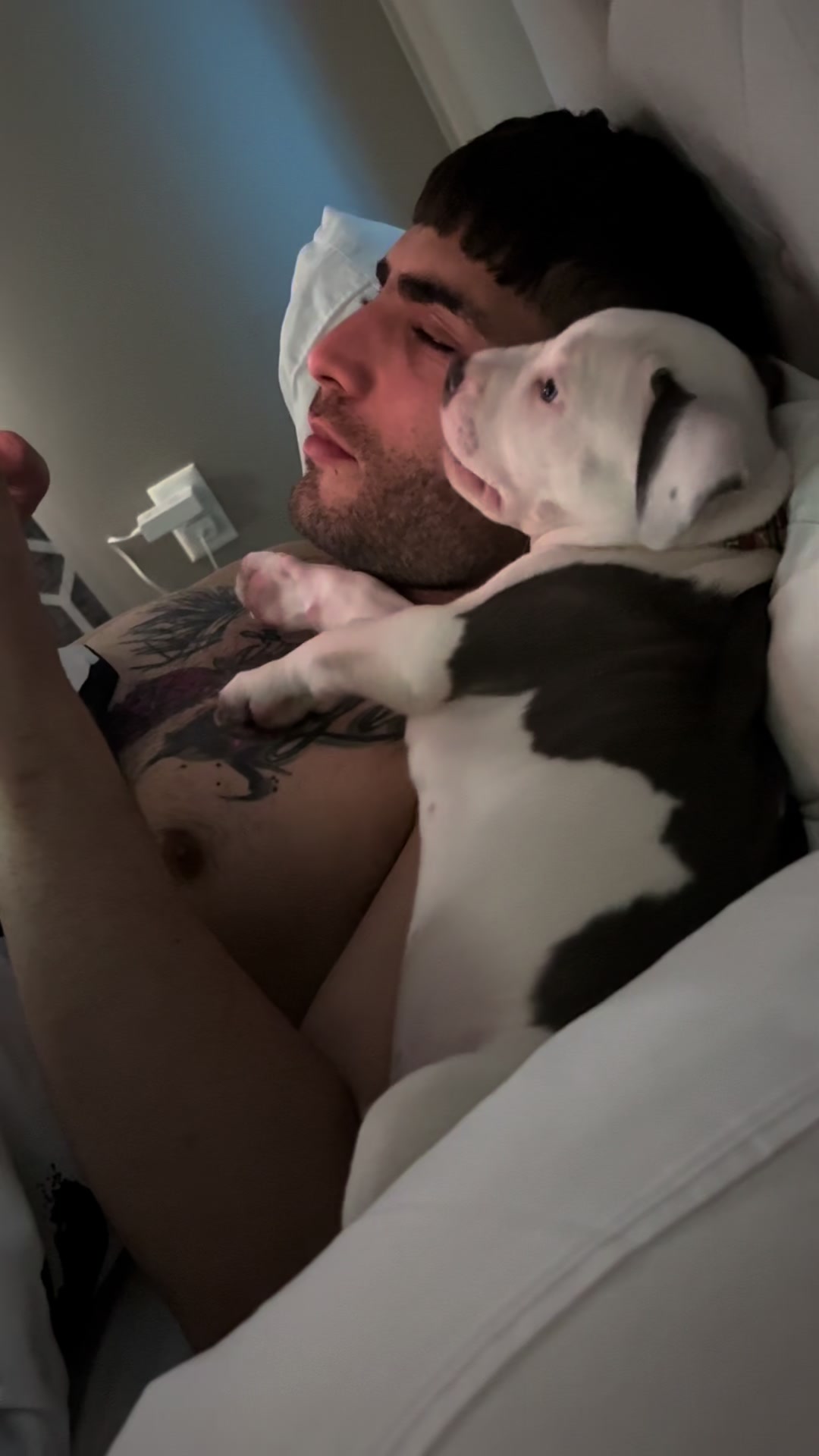 @@losbaby🐶🤍🖤💙