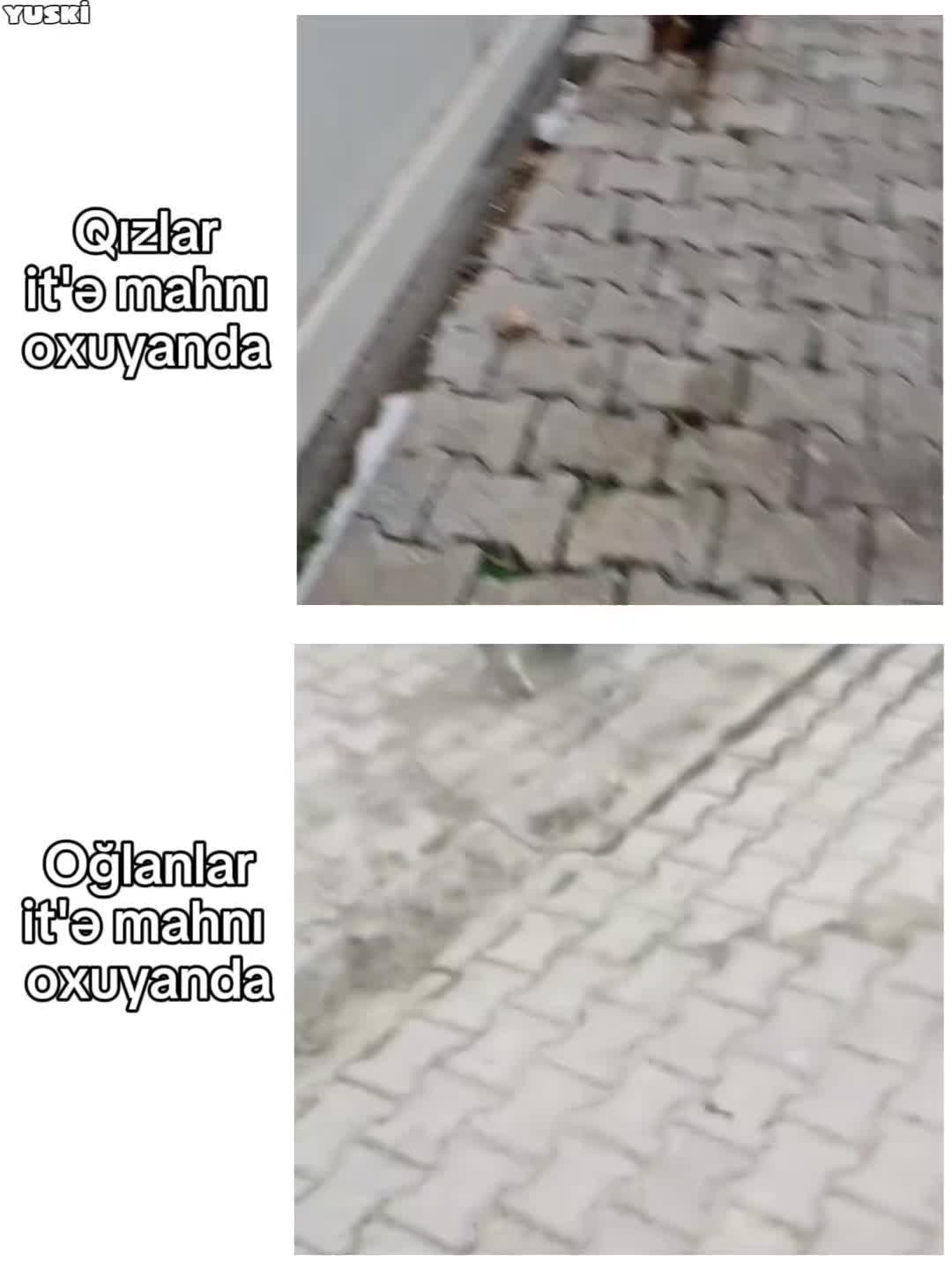 @𝙔𝙪𝙨𝙠𝙞シ︎
