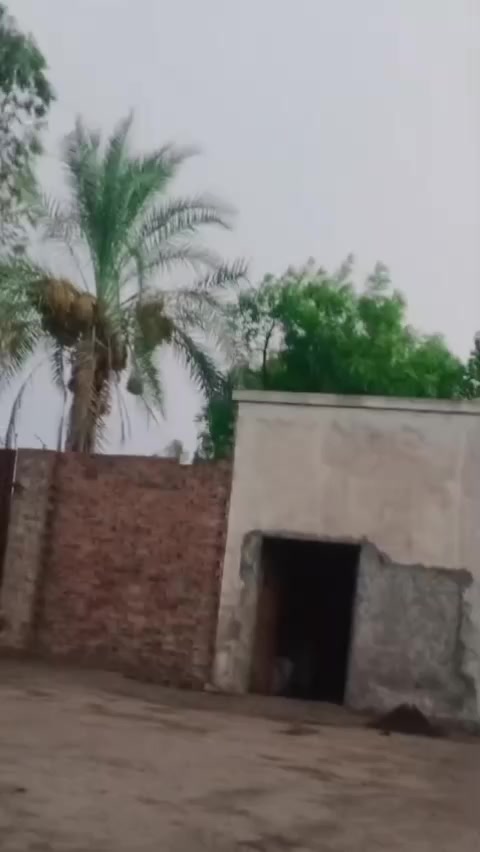 @Zohan khan 😡😡7
