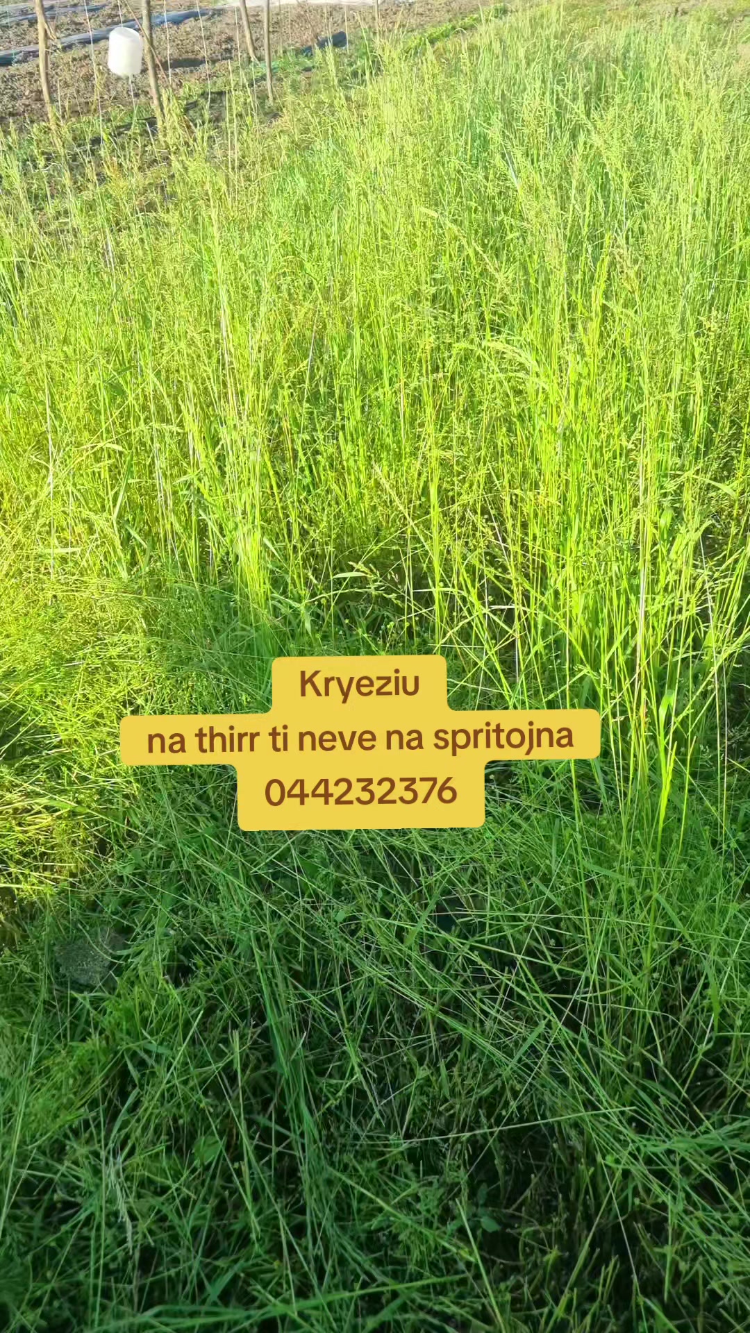 @LeoNaarD ✅️