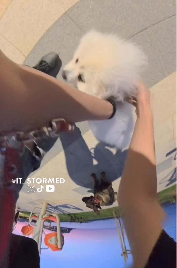 @it_stormed