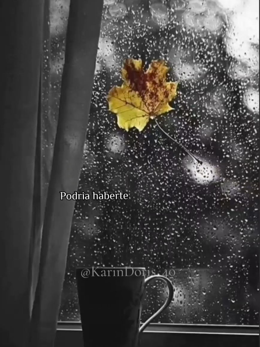 @🍀🌟KarinDoris🌈☀️🎶