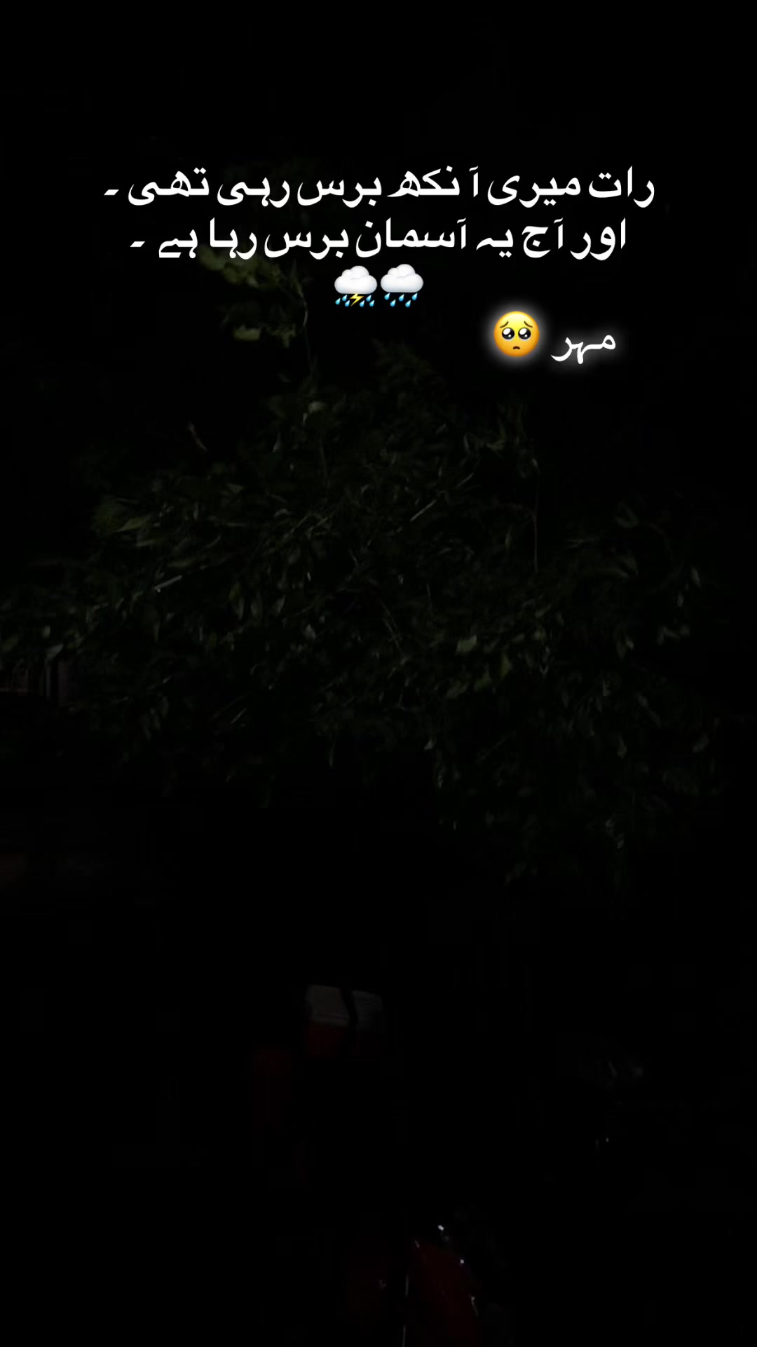 @مہر 🥀🥀🥀