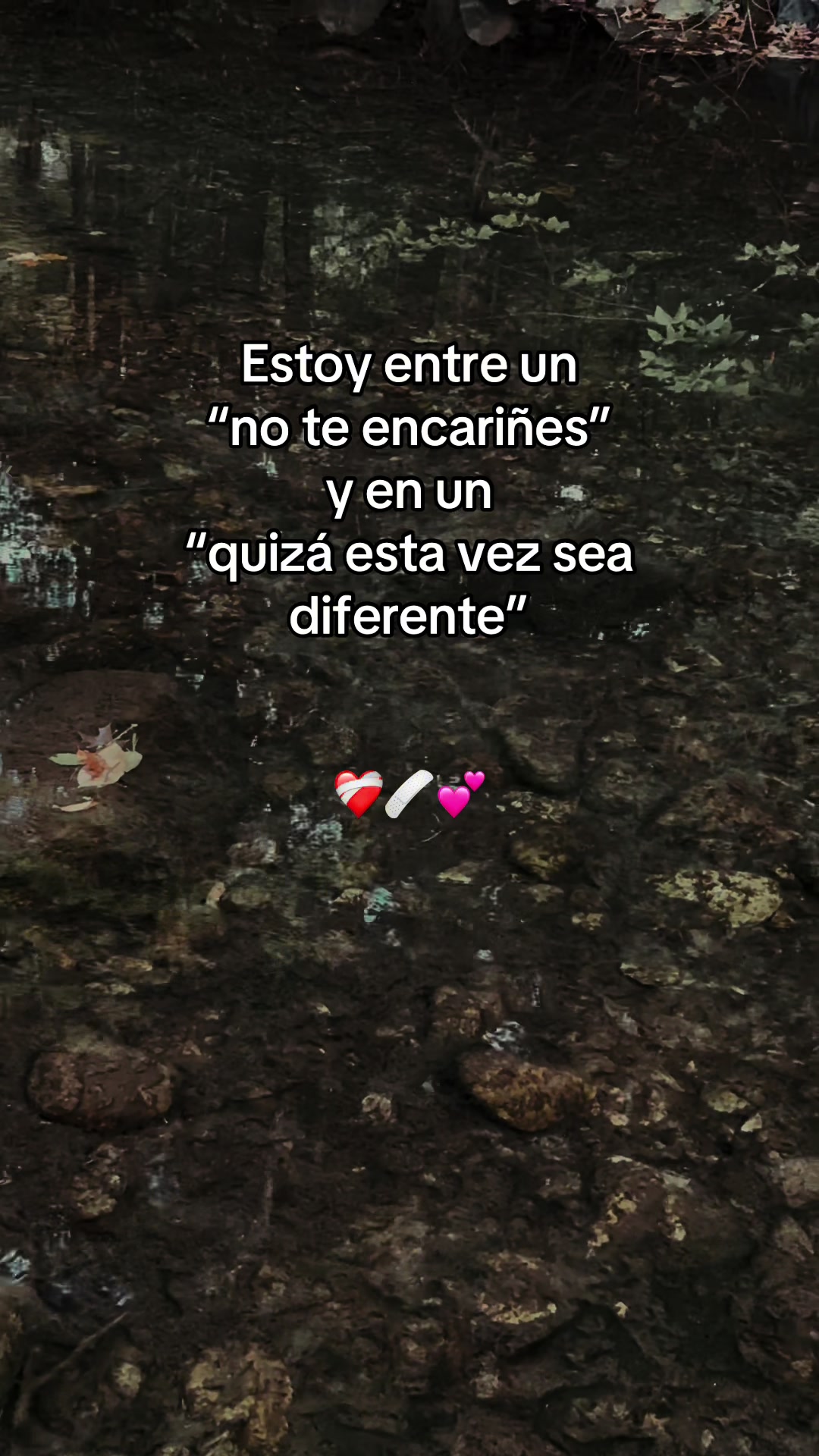 @Sagittarius 🏹 🫰🤍