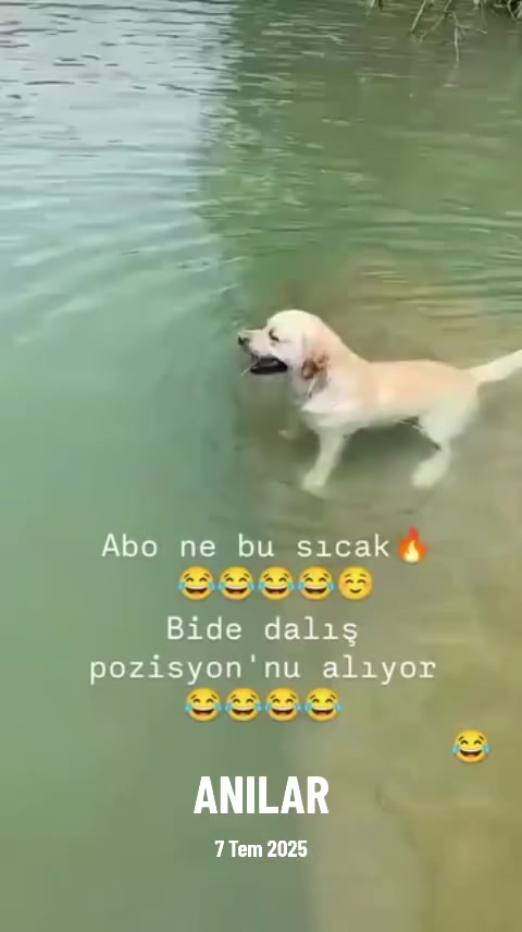 @yılmaz Çetinkaya