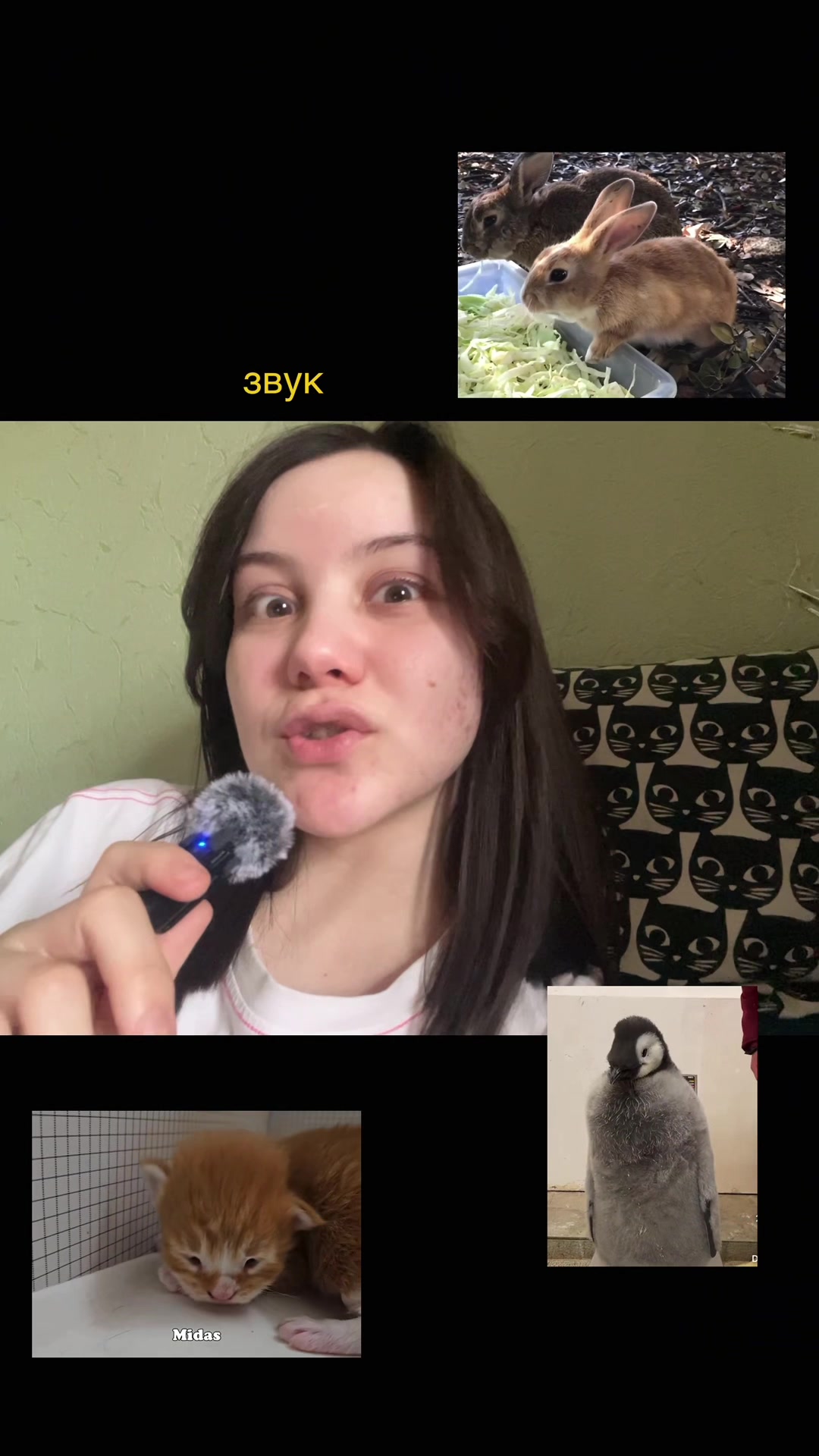 @Ирада, которая всегда рада