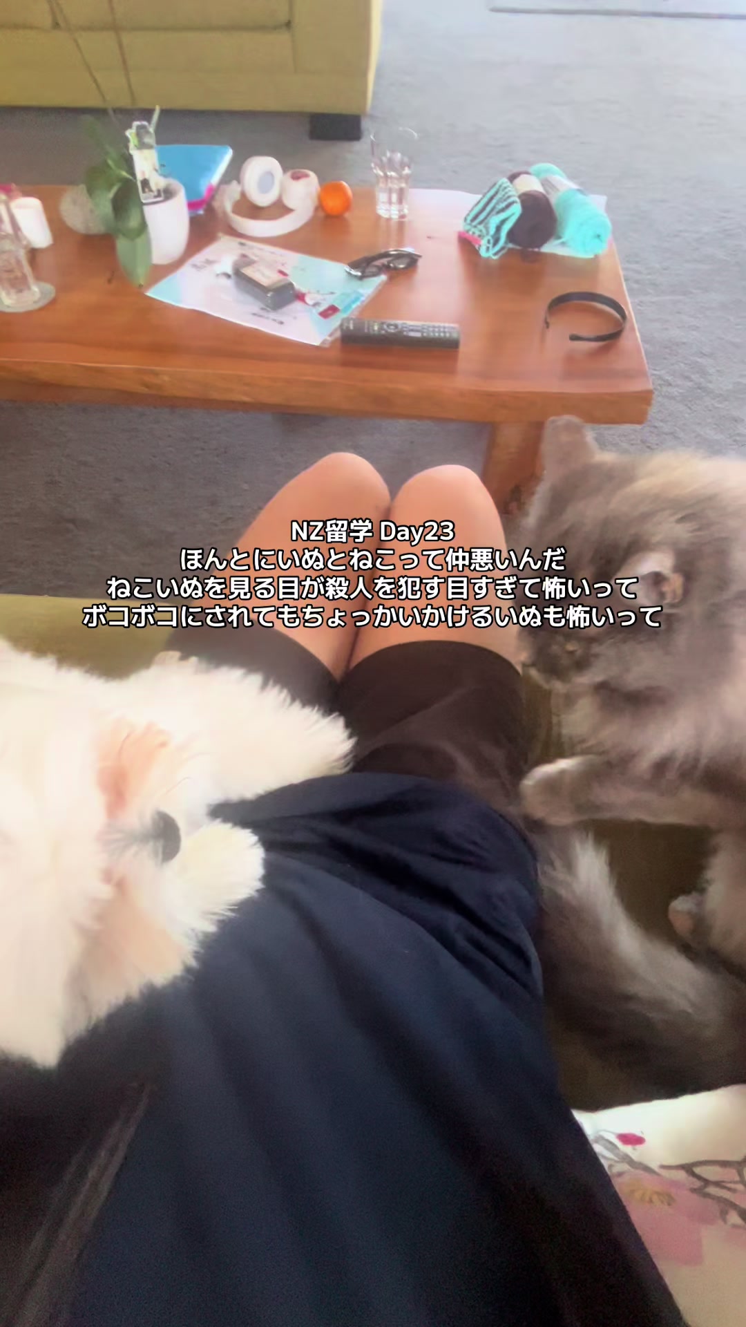@コニ