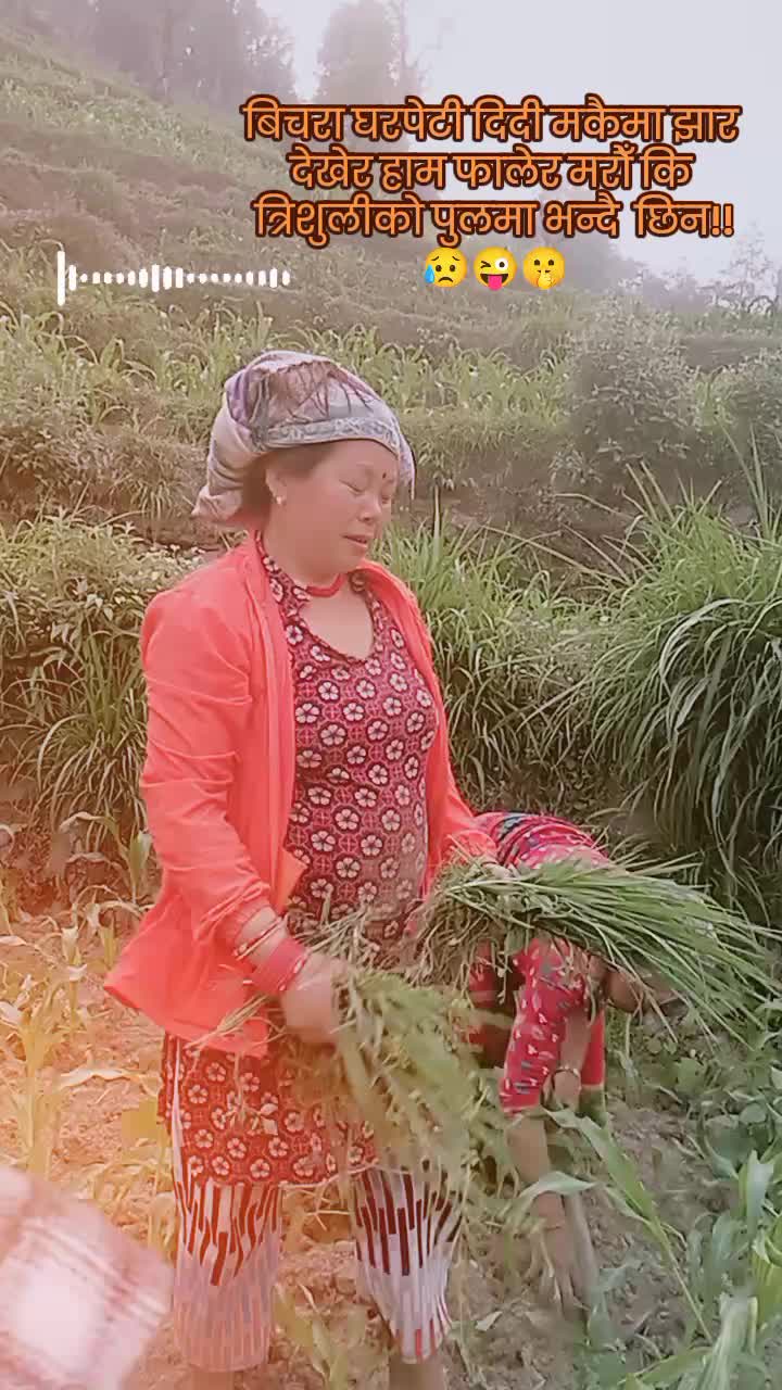 @🦋सुनिता~वाईबा🦋