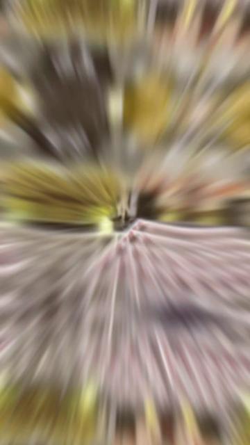 @ðððððððð âžâžê³