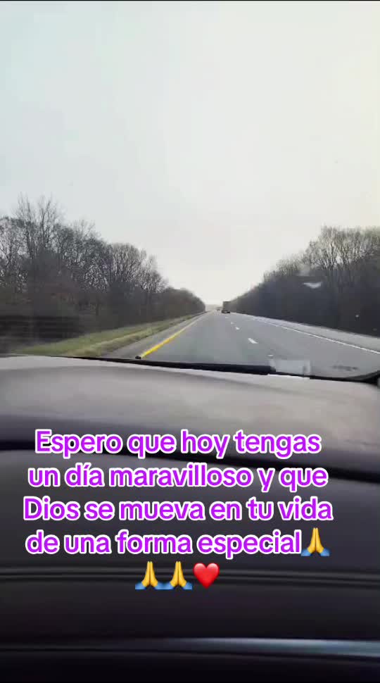 @Laura Matias347
