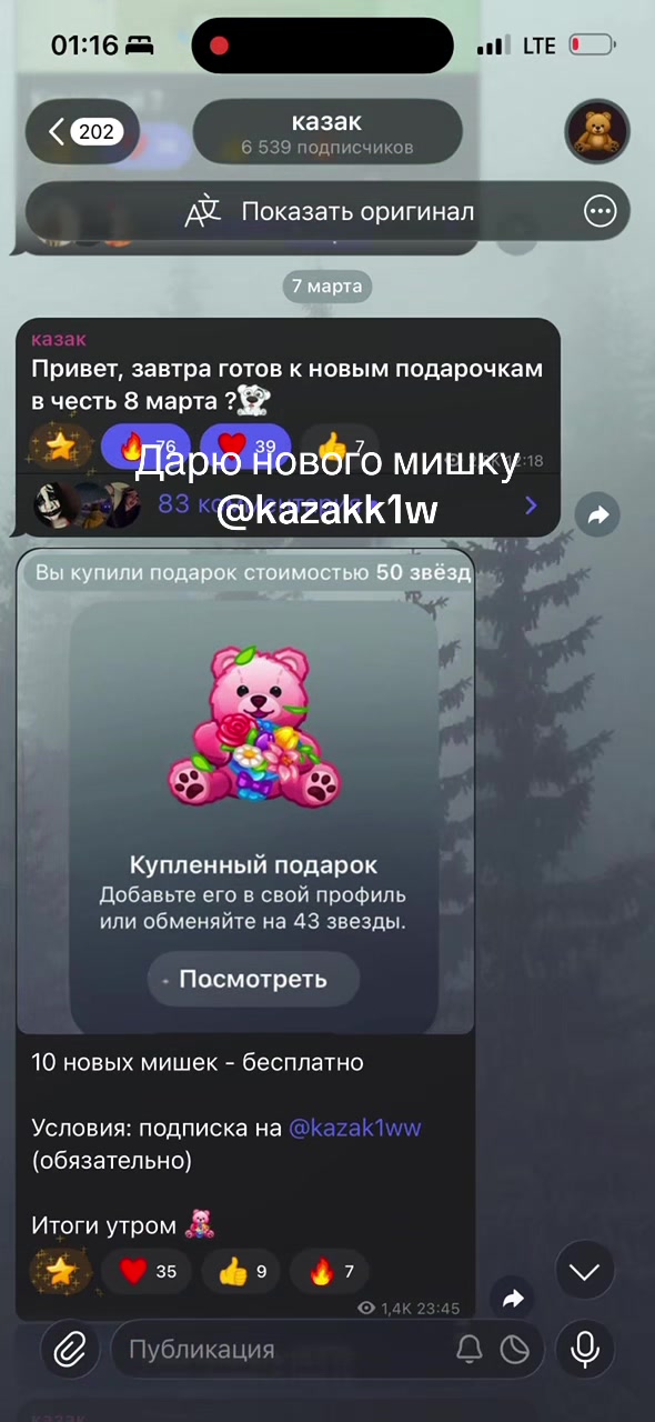 @shizik1w