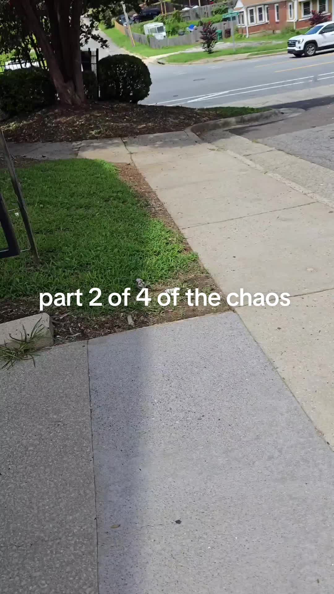 @Chef Hood