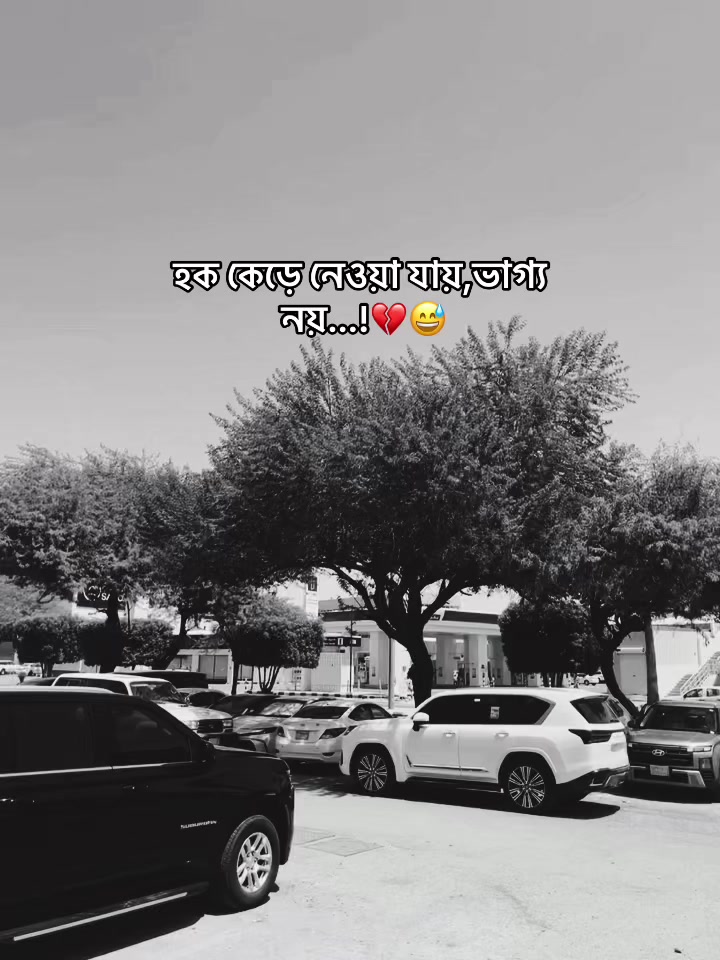 @Call Me Rakib⚡️