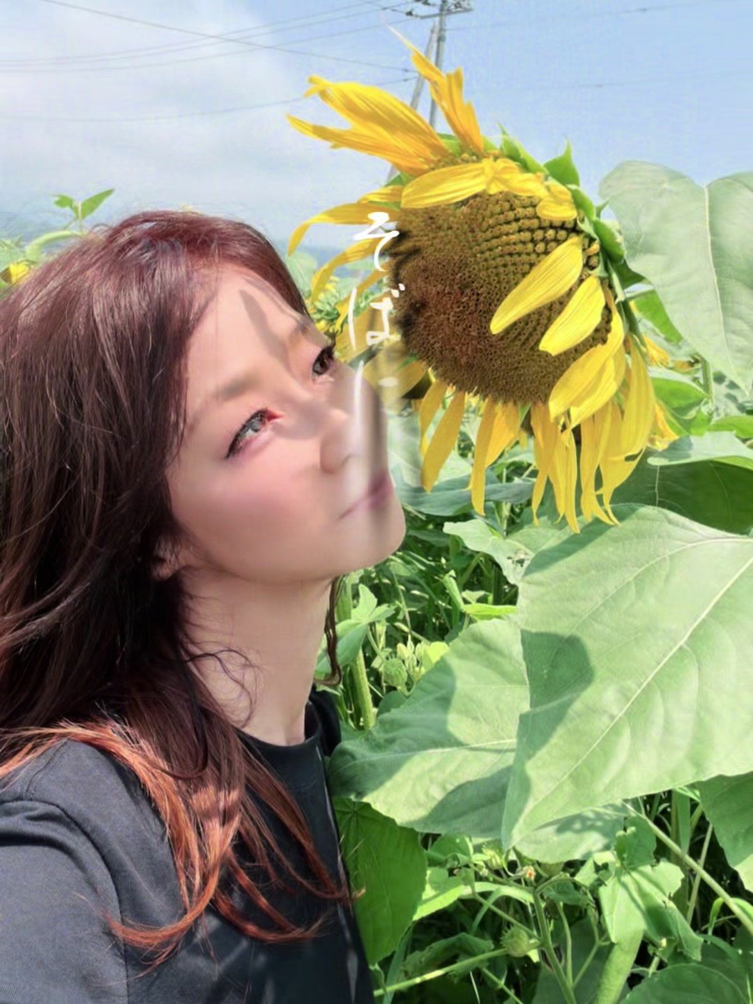 @🌺✨𝑀𝒾𝓎𝓊𝓀𝒾✨🌺