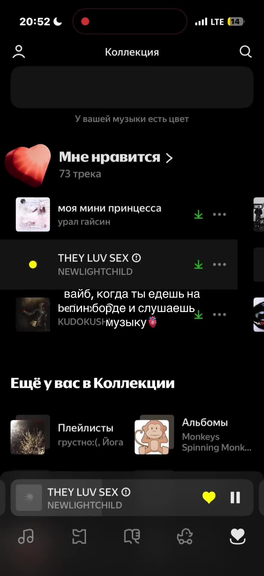 @синицина бурмалда$$