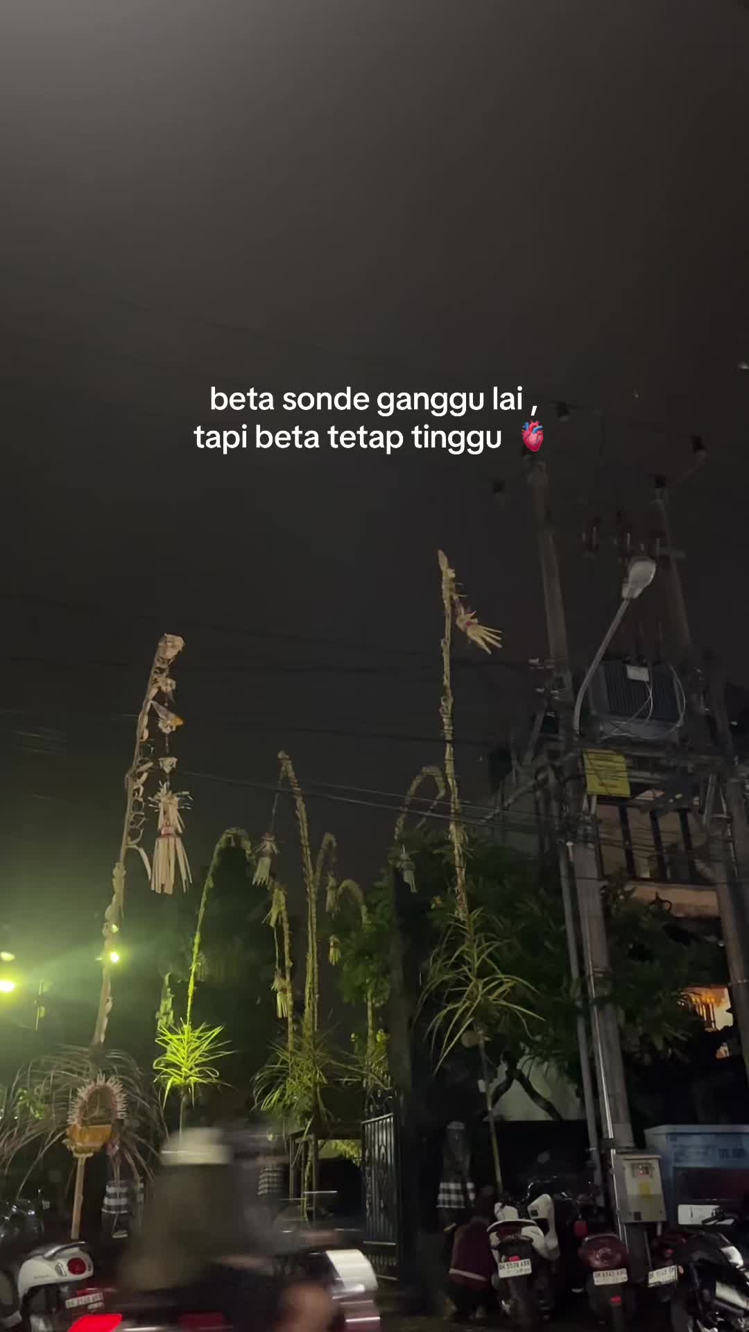 @🐼