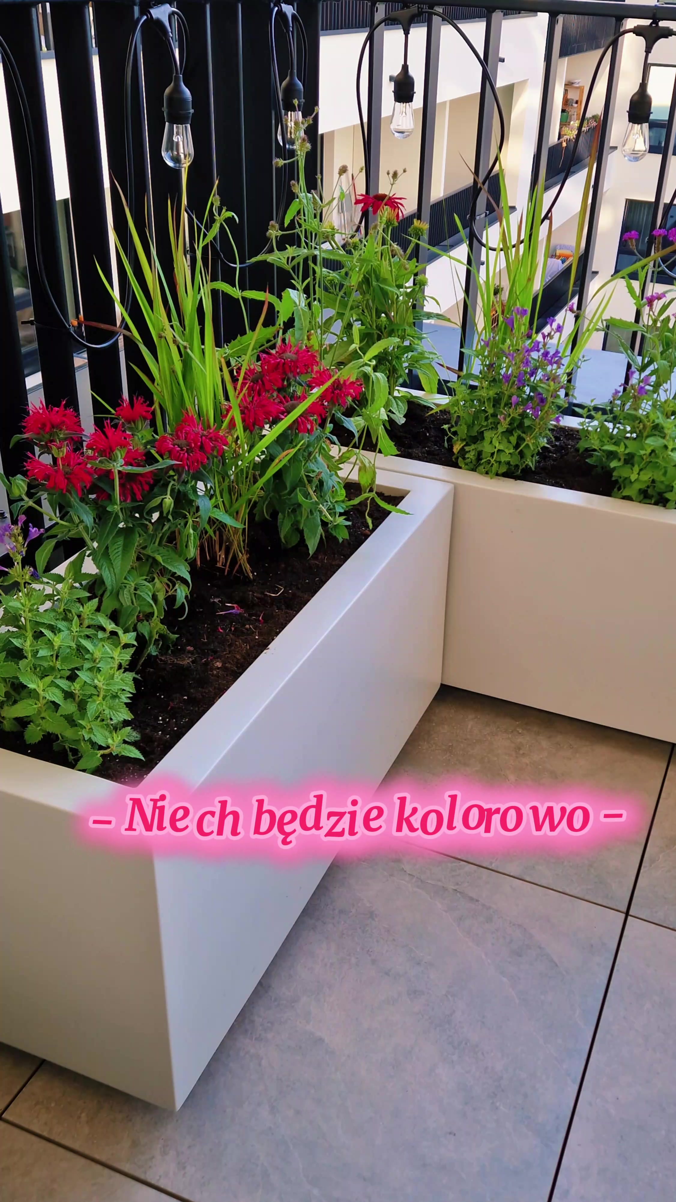 @niecodziennikpary.pl