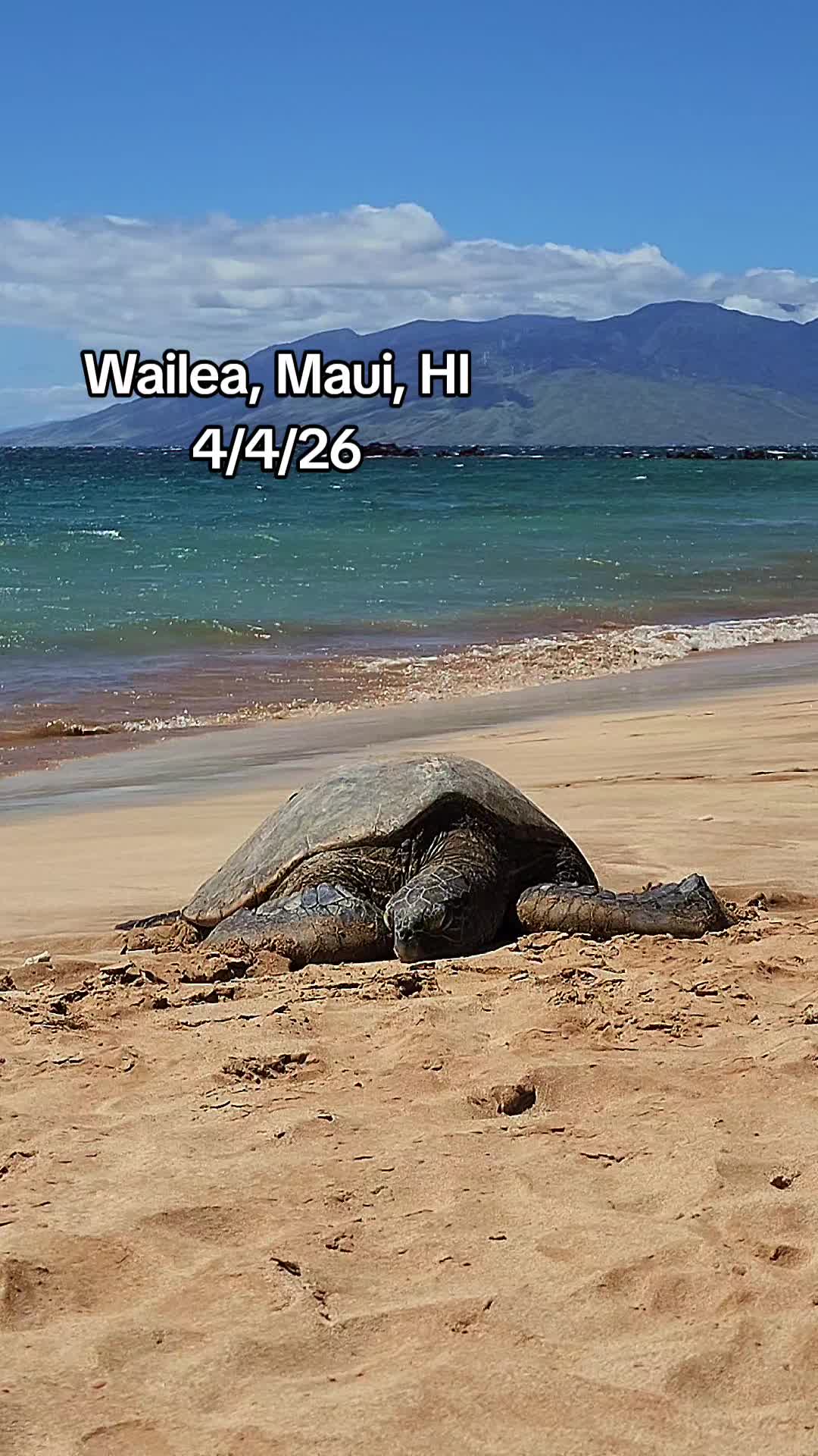 @Hike Maui